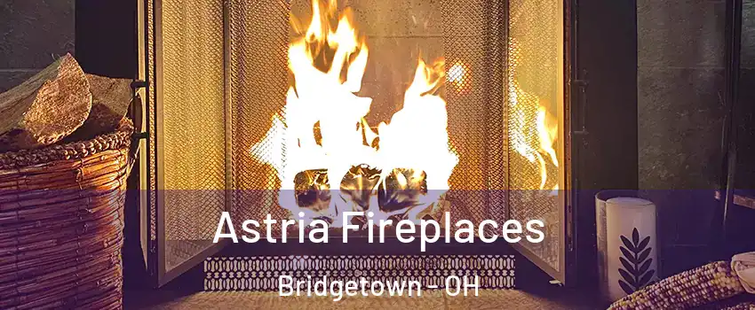  Astria Fireplaces Bridgetown - OH