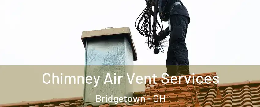  Chimney Air Vent Services Bridgetown - OH