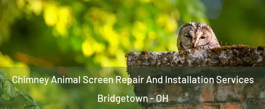  Chimney Animal Screen Repair And Installation Services Bridgetown - OH