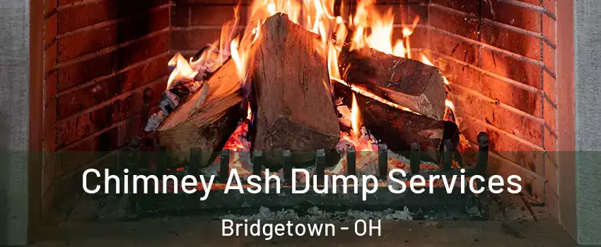  Chimney Ash Dump Services Bridgetown - OH