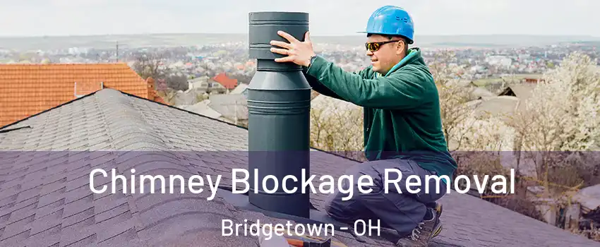  Chimney Blockage Removal Bridgetown - OH