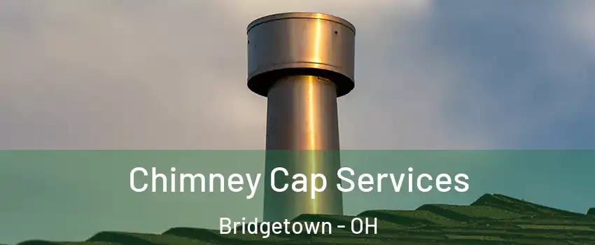  Chimney Cap Services Bridgetown - OH