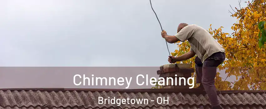  Chimney Cleaning Bridgetown - OH