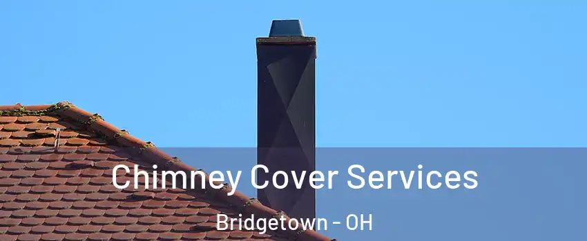  Chimney Cover Services Bridgetown - OH