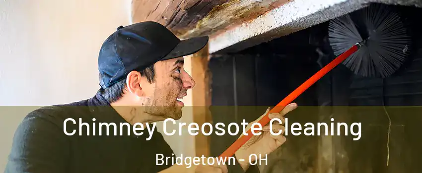  Chimney Creosote Cleaning Bridgetown - OH
