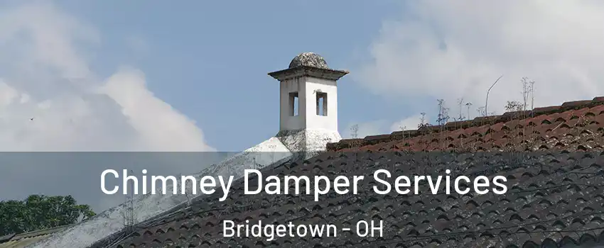  Chimney Damper Services Bridgetown - OH