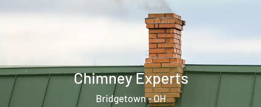  Chimney Experts Bridgetown - OH