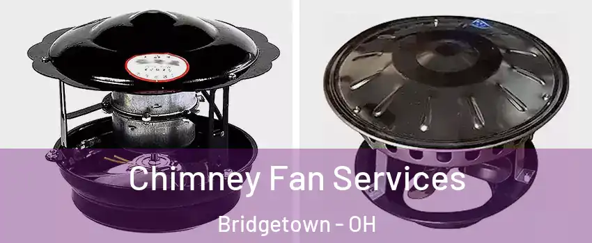  Chimney Fan Services Bridgetown - OH