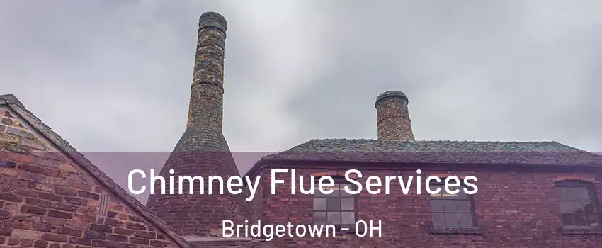  Chimney Flue Services Bridgetown - OH