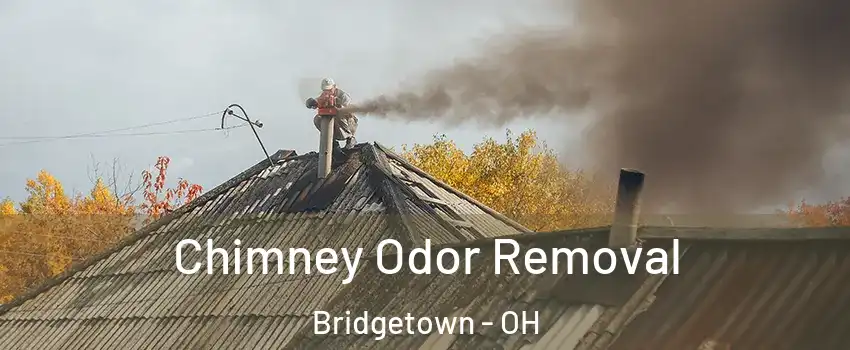 Chimney Odor Removal Bridgetown - OH