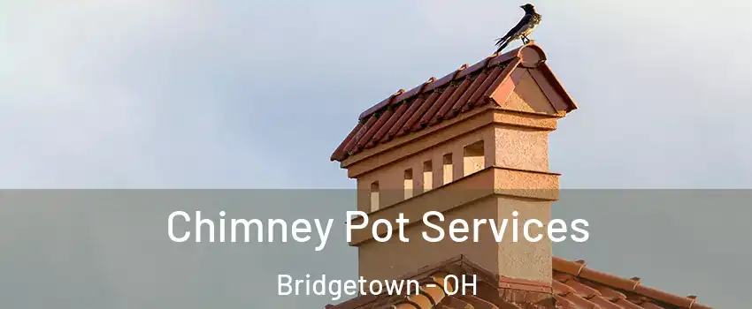  Chimney Pot Services Bridgetown - OH