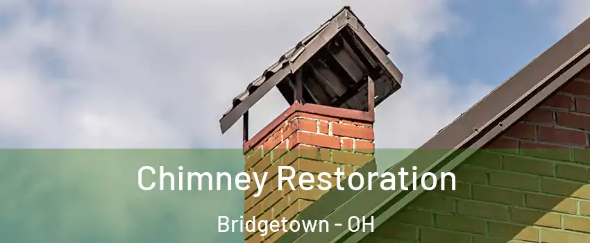  Chimney Restoration Bridgetown - OH