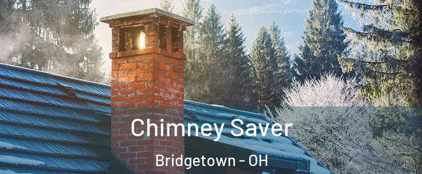  Chimney Saver Bridgetown - OH