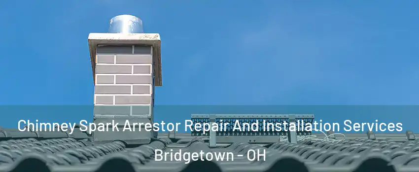  Chimney Spark Arrestor Repair And Installation Services Bridgetown - OH