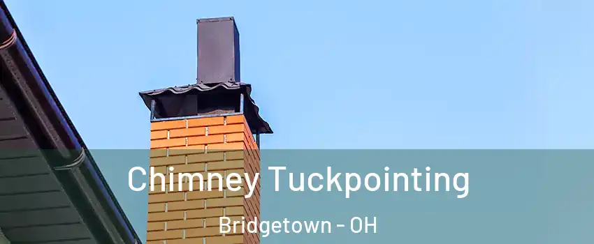  Chimney Tuckpointing Bridgetown - OH