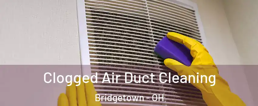  Clogged Air Duct Cleaning Bridgetown - OH
