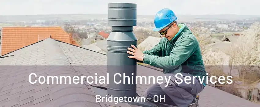 Commercial Chimney Services Bridgetown - OH