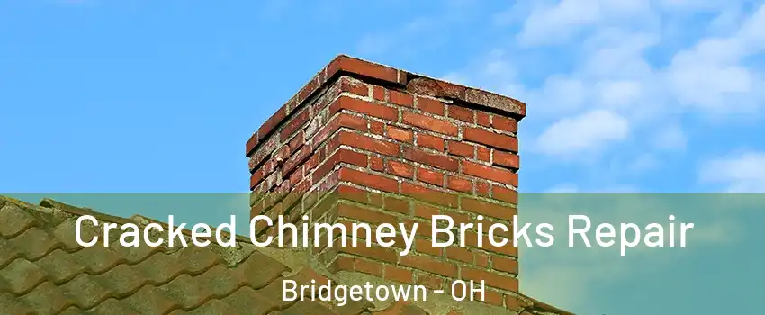  Cracked Chimney Bricks Repair Bridgetown - OH