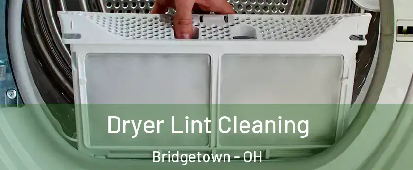  Dryer Lint Cleaning Bridgetown - OH
