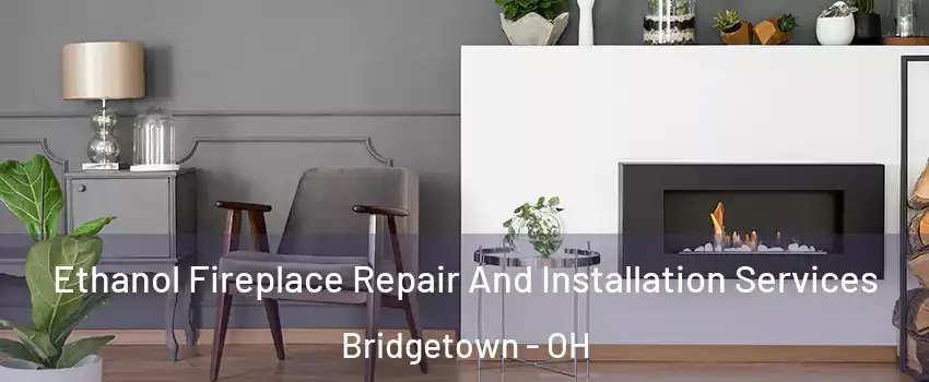  Ethanol Fireplace Repair And Installation Services Bridgetown - OH