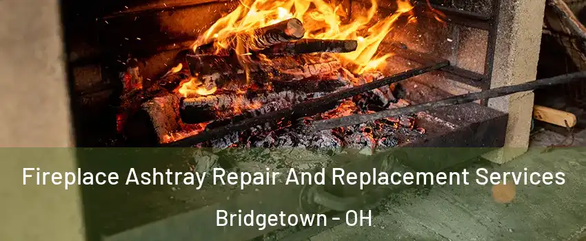  Fireplace Ashtray Repair And Replacement Services Bridgetown - OH
