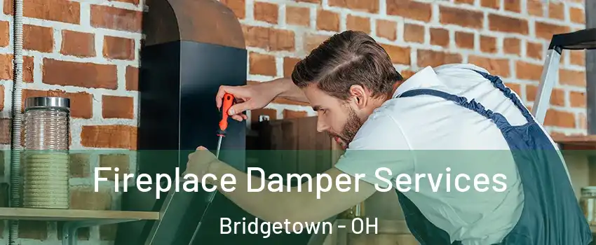  Fireplace Damper Services Bridgetown - OH