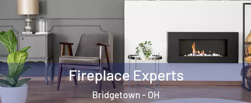  Fireplace Experts Bridgetown - OH