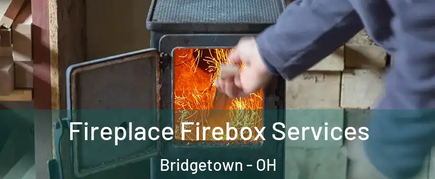  Fireplace Firebox Services Bridgetown - OH
