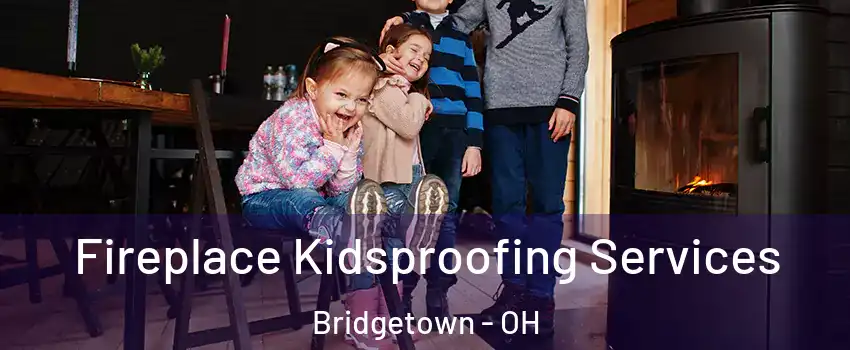  Fireplace Kidsproofing Services Bridgetown - OH