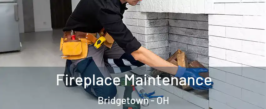  Fireplace Maintenance Bridgetown - OH