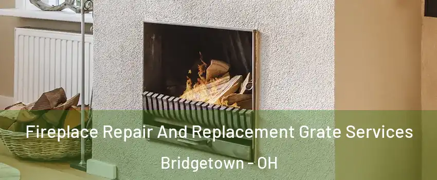  Fireplace Repair And Replacement Grate Services Bridgetown - OH