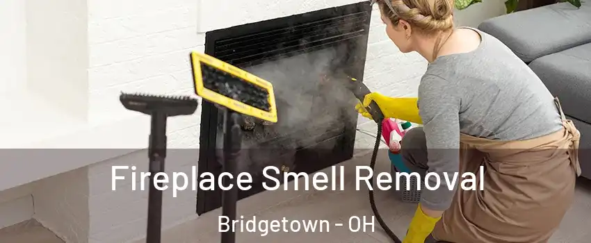  Fireplace Smell Removal Bridgetown - OH