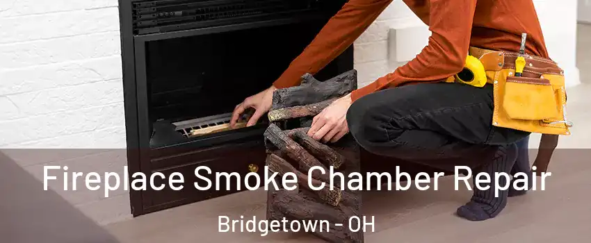  Fireplace Smoke Chamber Repair Bridgetown - OH