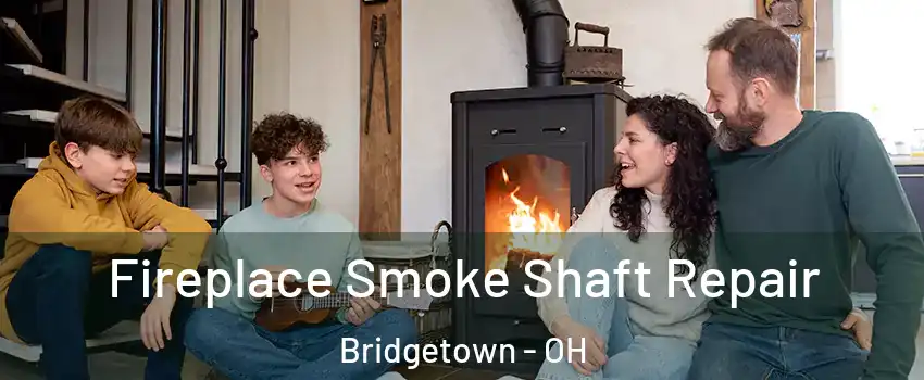  Fireplace Smoke Shaft Repair Bridgetown - OH