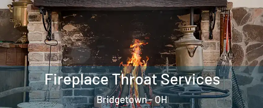  Fireplace Throat Services Bridgetown - OH