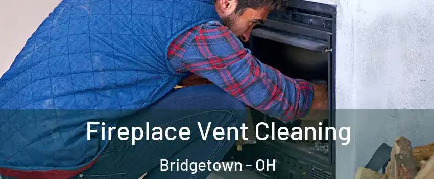  Fireplace Vent Cleaning Bridgetown - OH