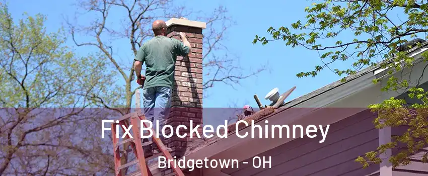  Fix Blocked Chimney Bridgetown - OH