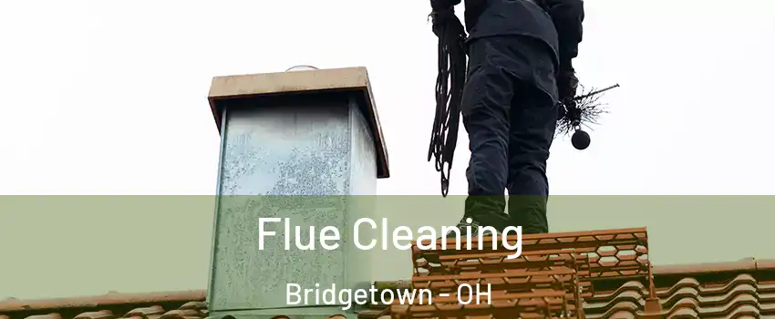  Flue Cleaning Bridgetown - OH
