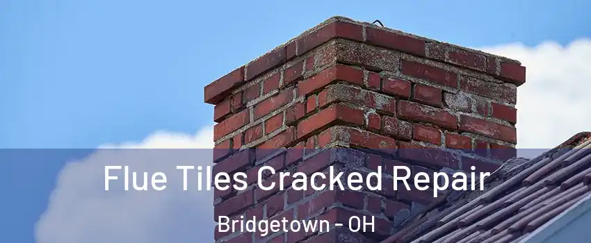  Flue Tiles Cracked Repair Bridgetown - OH