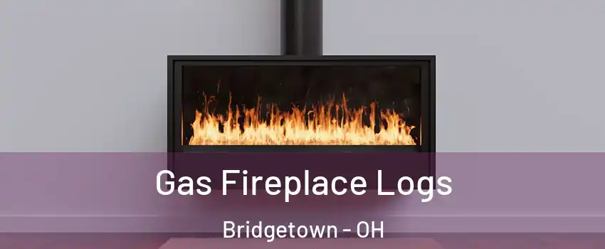  Gas Fireplace Logs Bridgetown - OH