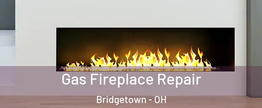  Gas Fireplace Repair Bridgetown - OH