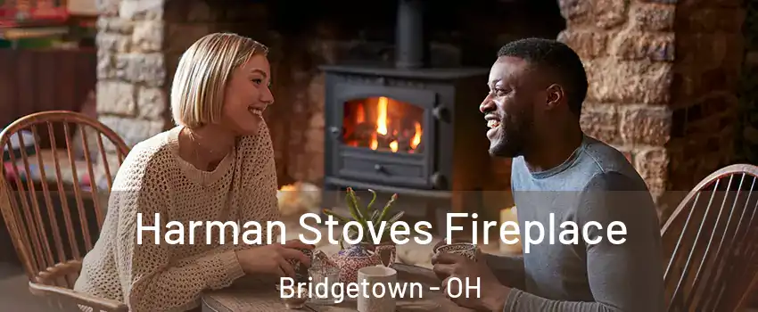  Harman Stoves Fireplace Bridgetown - OH
