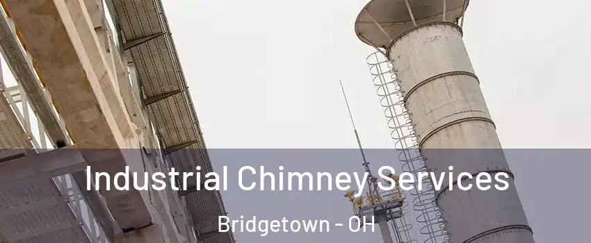  Industrial Chimney Services Bridgetown - OH
