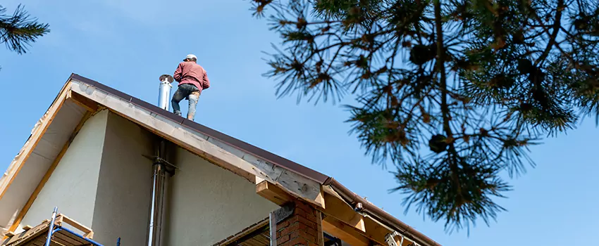 Birds Removal Contractors from Chimney in Bridgetown, OH