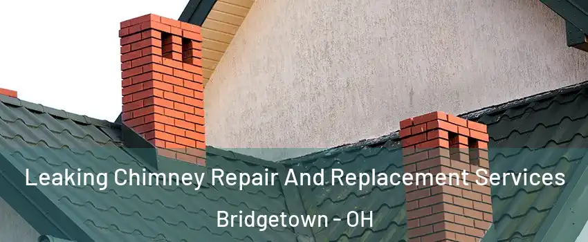  Leaking Chimney Repair And Replacement Services Bridgetown - OH