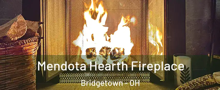  Mendota Hearth Fireplace Bridgetown - OH