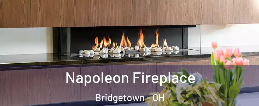  Napoleon Fireplace Bridgetown - OH