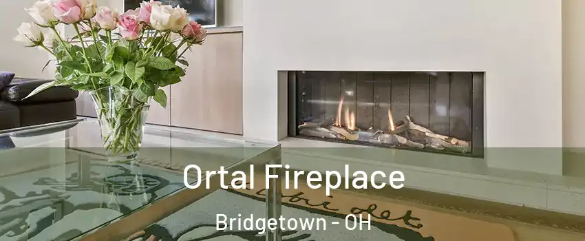  Ortal Fireplace Bridgetown - OH