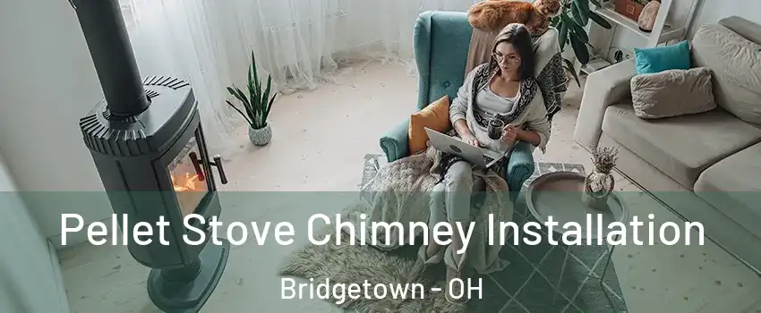  Pellet Stove Chimney Installation Bridgetown - OH