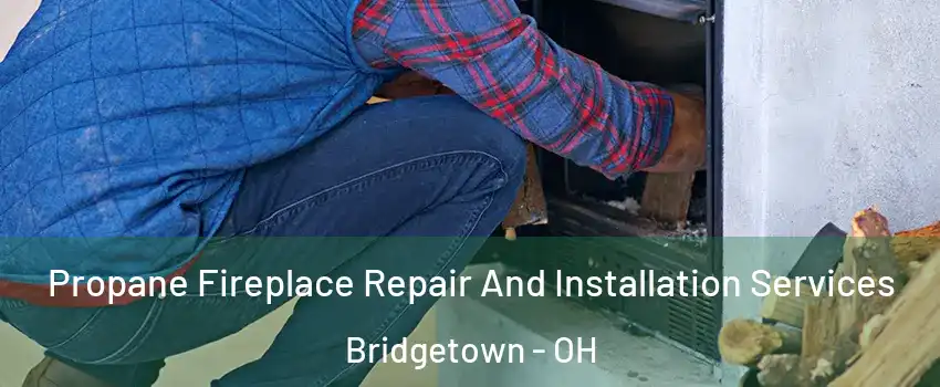  Propane Fireplace Repair And Installation Services Bridgetown - OH